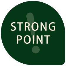 STRONG POINT